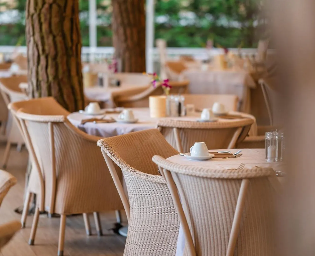 Park Hotel Maracaibo Lido di Jesolo