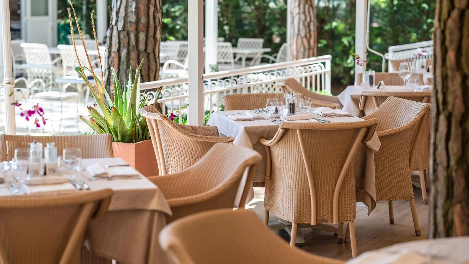 Park Hotel Maracaibo Lido di Jesolo